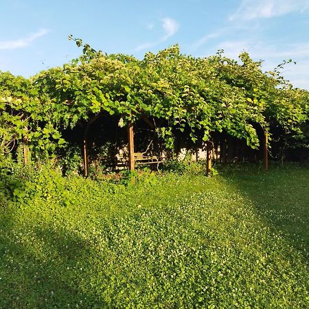 River Side - Cosy - Lot Of Space Унінг Екстер'єр фото